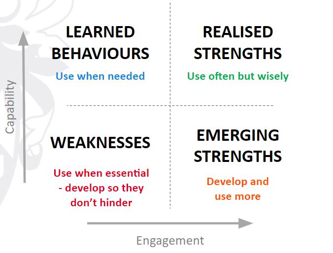 York Strengths Reflection Tool